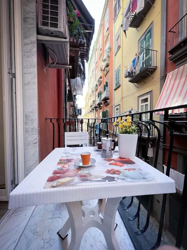 Apartment Traversa Toledo, Intero Appartamento Al Plebiscito Naples Italy