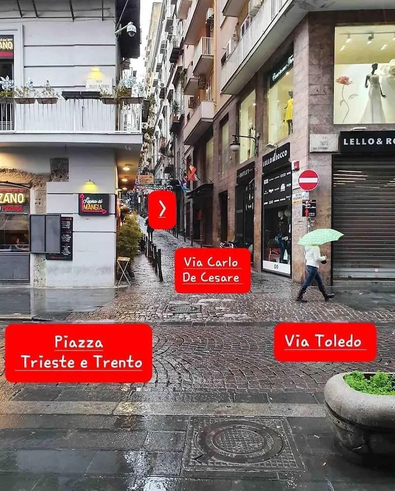 Apartment Traversa Toledo, Intero Appartamento Al Plebiscito Naples